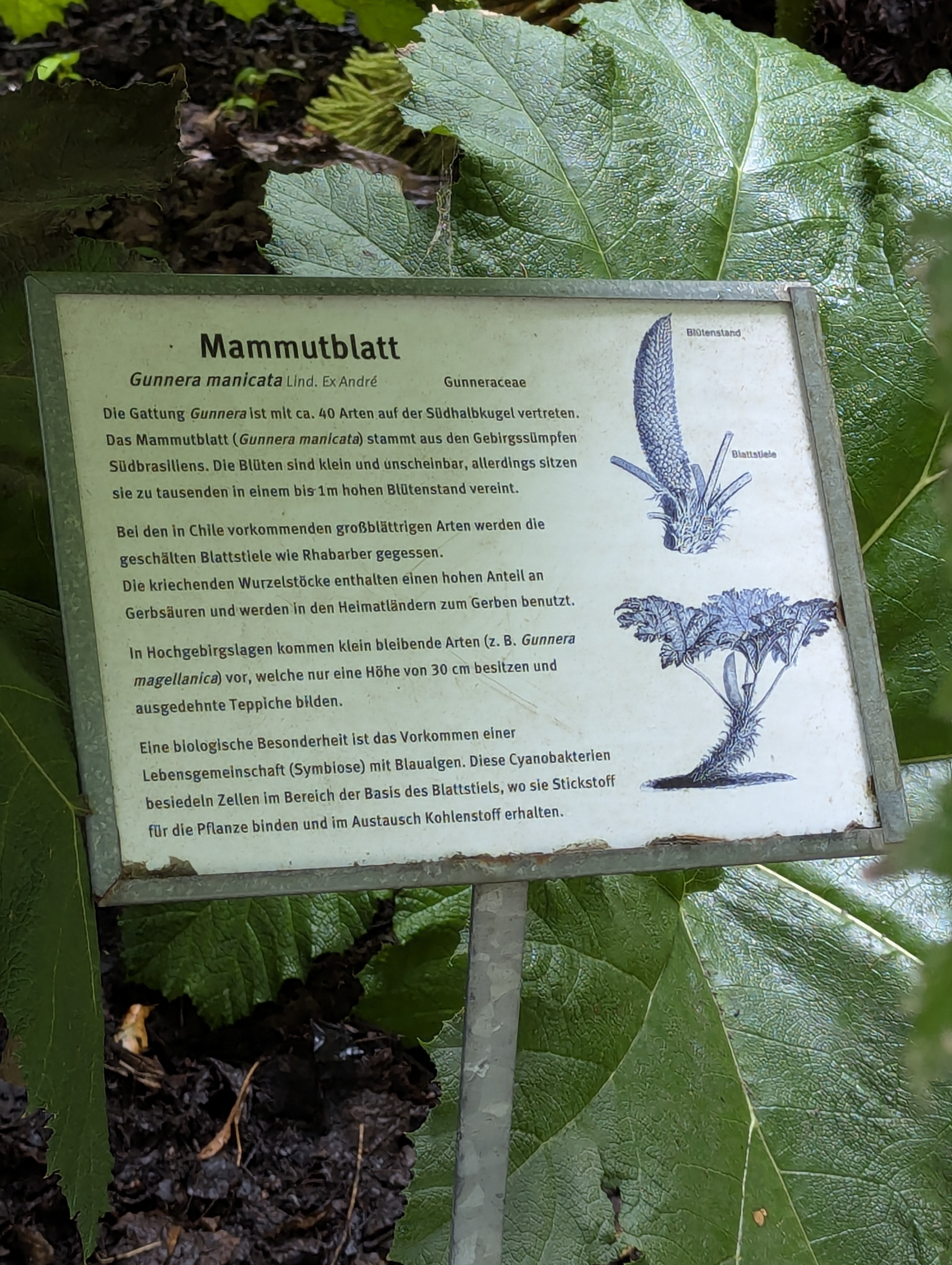 Botonic Gardens, Muenster, Germany